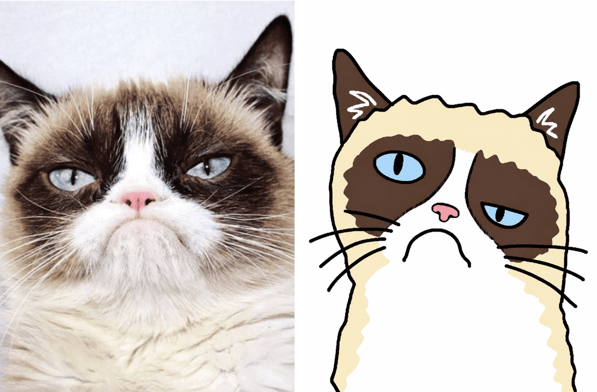 Before and after: The cat, unimpressed