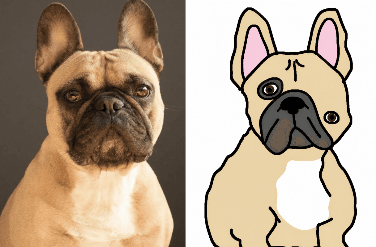 Before and after: Good boy, poorly drawn