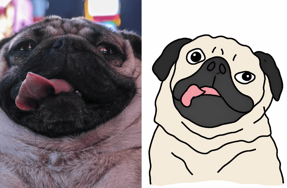 Before and after: Who's a good boy?