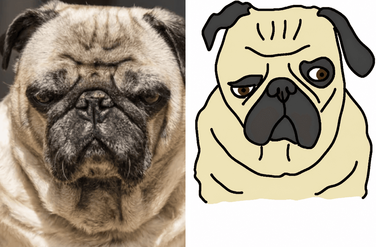 Before and after: Best in show (allegedly)